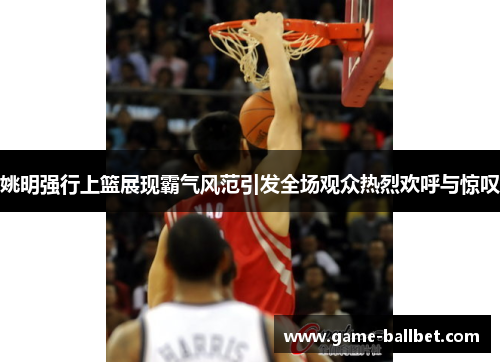 姚明强行上篮展现霸气风范引发全场观众热烈欢呼与惊叹